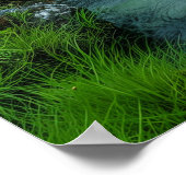 Tranquil River Poster (Hoek)