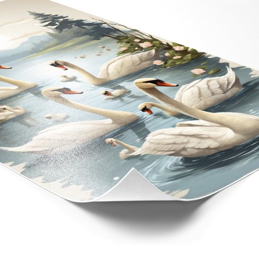 Tranquil Swan Serenity: Familie Wall Art Collectie Foto Afdruk (Hoek)