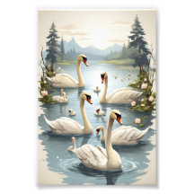 Tranquil Swan Serenity: Familie Wall Art Collectie
