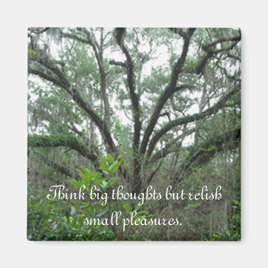 Tranquil Tree Magnet (Voorkant)