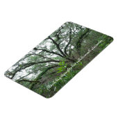 Tranquil Tree Magnet Magneet (Linkerzijde)