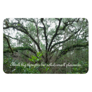 Tranquil Tree Magnet Magneet