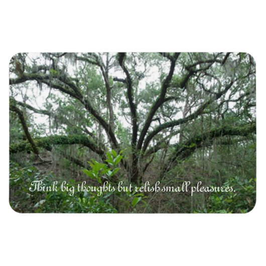 Tranquil Tree Magnet Magneet (Horizontaal)