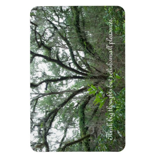 Tranquil Tree Magnet Magneet (Verticaal)