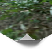 Tranquil Tree-Poster en -afdrukken Poster (Hoek)