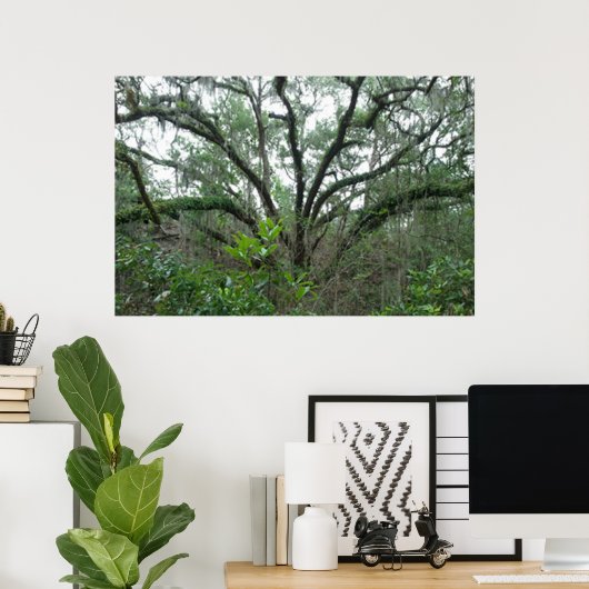 Tranquil Tree-Poster en -afdrukken Poster (Thuiskantoor)
