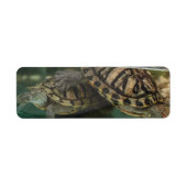 Tranquil Turtle Reflection Label (Voorkant)