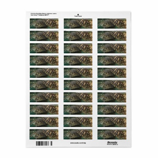 Tranquil Turtle Reflection Label (Full Sheet)