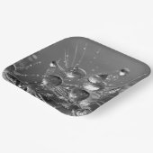 Tranquil Water druppels Borden Papieren Bordje (Gebogen)