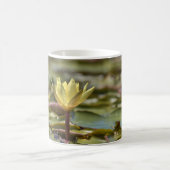 Tranquil Water Lily Coffee Mug – Nature Photograph Koffiemok (Center)