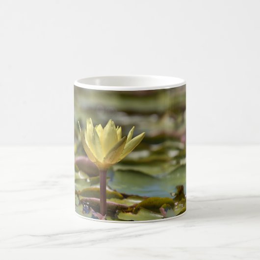 Tranquil Water Lily Coffee Mug – Nature Photograph Koffiemok (Center)
