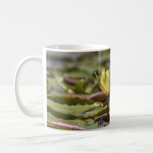 Tranquil Water Lily Coffee Mug – Nature Photograph Koffiemok (Links)