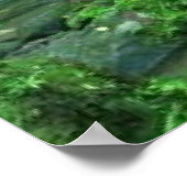 Tranquil Waterfall Poster (Hoek)