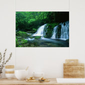 Tranquil Waterfall Poster (Keuken)