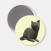 Tranquil zwarte kat magneet (Voorkant / Achterkant)