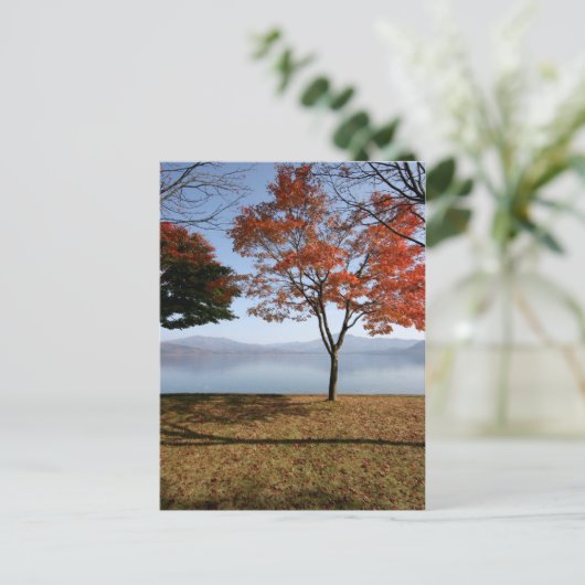 Tranquiliteit Briefkaart (Staand voorkant)