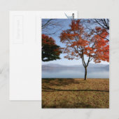 Tranquiliteit Briefkaart (Voorkant / Achterkant)