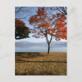 Tranquiliteit Briefkaart (Voorkant)