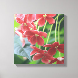 Tranquiliteit Canvas Afdruk