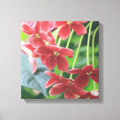 Tranquiliteit Canvas Afdruk (Voorkant)