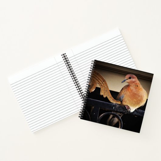 Tranquiliteit Notitieboek (Binnen)