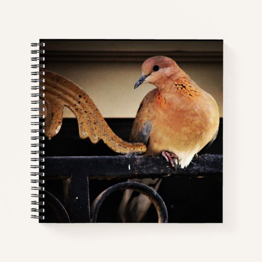 Tranquiliteit Notitieboek (Voorkant)