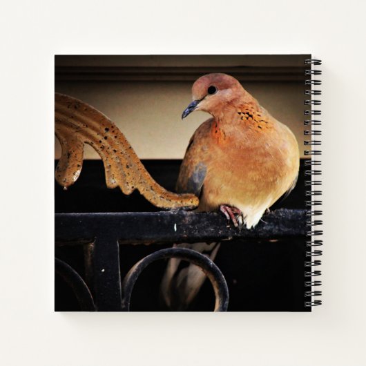 Tranquiliteit Notitieboek (Achterkant)