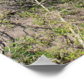 Tranquiliteit Poster (Hoek)