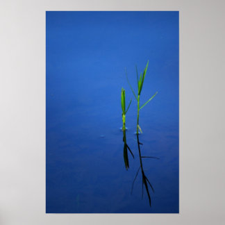 Tranquiliteit Poster