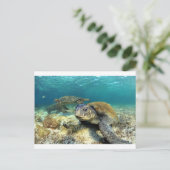 Tranquiliteit van de schildpad voor zeeen in de la briefkaart (Staand voorkant)