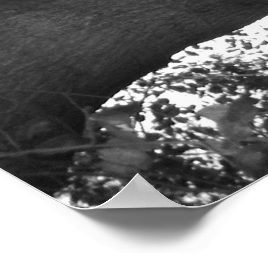 TranquiliteitsPoster Poster (Hoek)