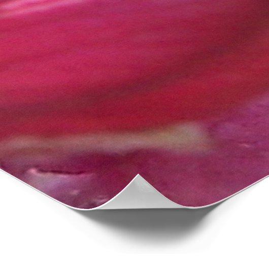 Tranquilo Poster (Hoek)