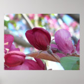 Tranquilo Poster (Voorkant)