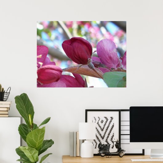 Tranquilo Poster (Thuiskantoor)