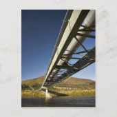 Trans-Alaska-oliepijpleiding door Zuidvork Koyu Briefkaart (Voorkant)