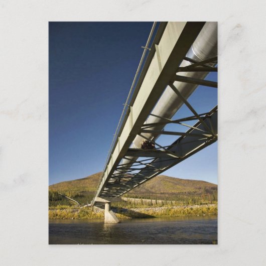Trans-Alaska-oliepijpleiding door Zuidvork Koyu Briefkaart (Voorkant)