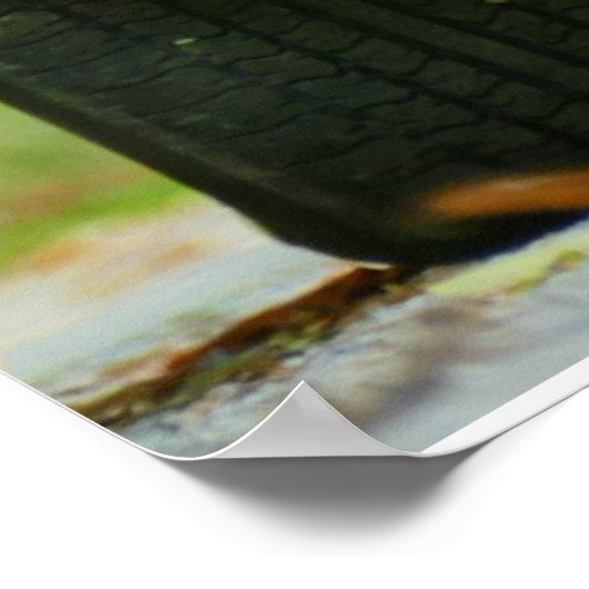 TRANS AM 1978 POSTER (Hoek)