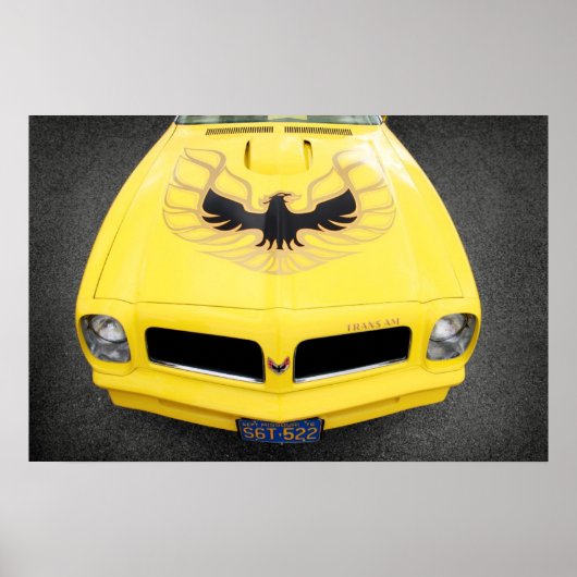 Trans-AM Poster (Voorkant)