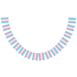 Trans Bunting Flag Vlaggetjes