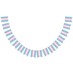 Trans Bunting Flag Vlaggetjes