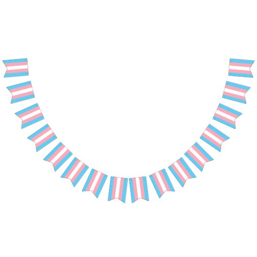 Trans Bunting Flag Vlaggetjes (Alle)