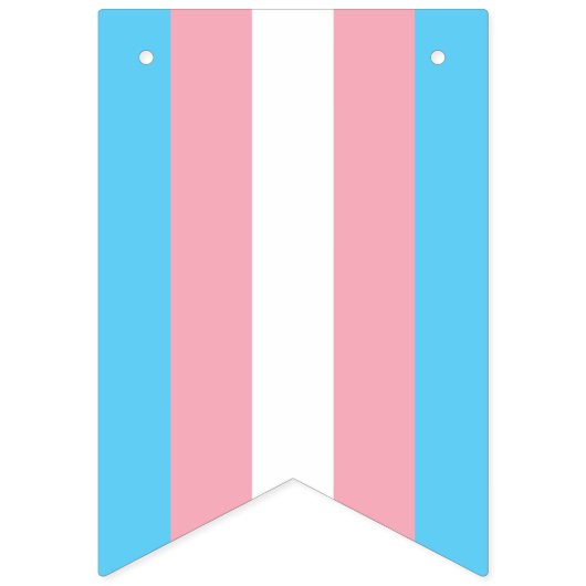 Trans Bunting Flag Vlaggetjes (Eerste vlag)