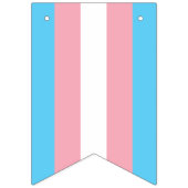 Trans Bunting Flag Vlaggetjes (Derde vlag)