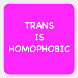 TRANS IS HOMOPHOBIC VIERKANTE STICKER