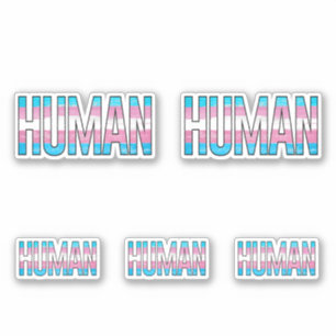 Trans Mens Sticker