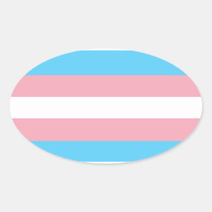 trans ovale sticker