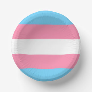 trans paper plate party decor papieren kommen