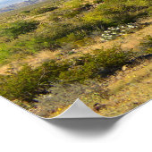 Trans-Pecos-bergen, Texas Poster (Hoek)