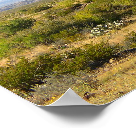 Trans-Pecos-bergen, Texas Poster (Hoek)