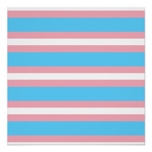 trans perfect poster (Voorkant)